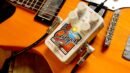 Electro-Harmonix Canyon Delay & Looper Pedal