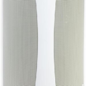 Definitive Technology AW 5500 All Weather Speaker with Bracket (Each)