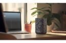 Denon Home 150 NV Wireless Powered Speaker with HEOS Built-In, Bluetooth, and Apple AirPlay 2